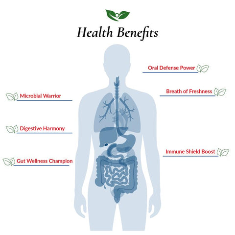 Foods For Gut - Lactobacillus Plantarum Probiótico em Pó 400 Bilhões de UFC’s | Fabricado nos EUA | Sem Aditivos | Digestivo