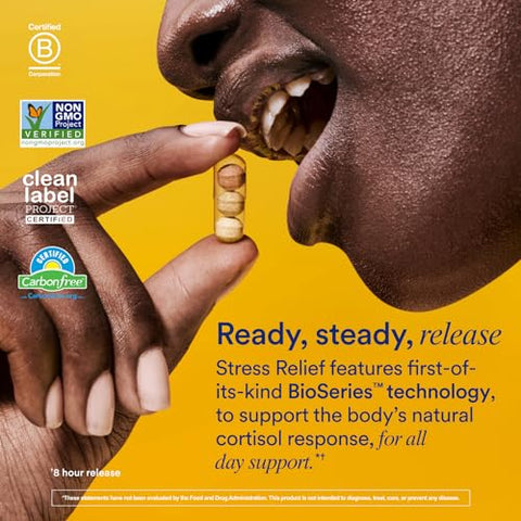 BioSeries: Suplemento para Alívio do Estresse com Liberação de 8 Horas (Shoden® Ashwagandha, Suntheanine® L-Theanine e Açafrão como affron®*) – 30 Dias de Fornecimento - Ritual