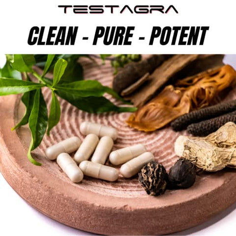 BioImmune - TESTAGRA: Aumente a Testosterona com este Suplemento 10X Concentrado – Ganhe Energia, Força e Massa Muscular Magra. Com Saw Palmetto, Tribulus, Tongkat Ali, Horny Goat Weed e Zinco