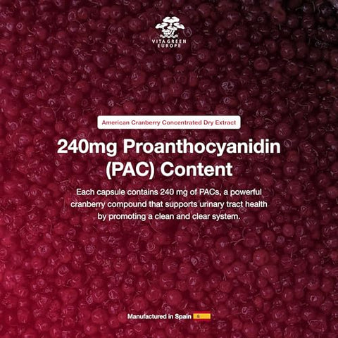 Cysticlean - Suplemento Cranberry PAC 240mg para Saúde do Trato Urinário – Marca em Destaque