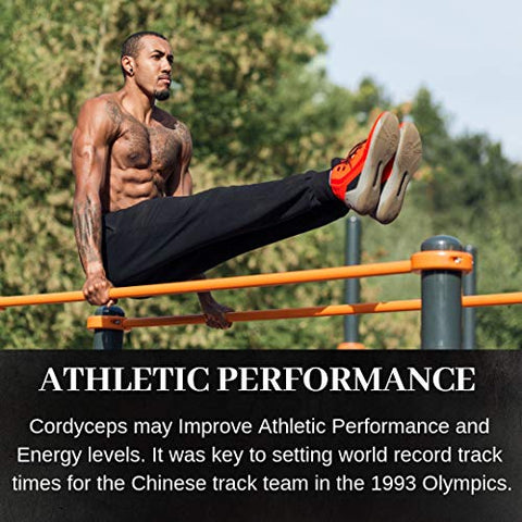 Noomadic - Cordyceps Mushroom 60 Cápsulas 500mg Ativador AMPK Extrato em Água Quente Cultivado em Madeira Corpos Frutíferos 30%% Beta-D-Glucanos Yartsa Gunbu Fungo de Lagarta