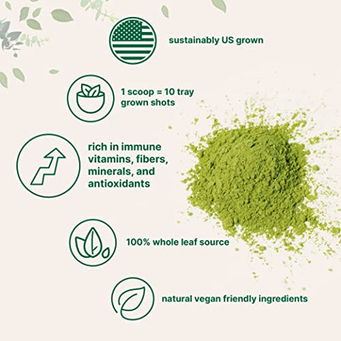 Pó de Grama de Trigo Orgânico 454g | Rico em Vitaminas, Fibras e Minerais | Suporte à Função Digestiva | Vegano - Micro Ingredients