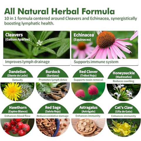 Nurbetoxa - Gotas de Drenagem Linfática Cleavers para Desintoxicação do Sistema Linfático, Fórmula de Suplemento de Suporte ao Linfedema com Equinácea, Unha de Gato, Extrato de Trevo Vermelho, Use com Linfa