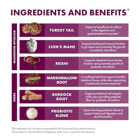 MycoBotanicals Microbiome* Pó Digestivo – 60g | Potencialize sua saúde intestinal - Host Defense