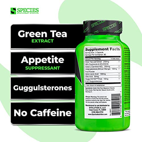 Lipolyze Queimador de Gordura sem Estimulantes, Supressor de Apetite com Extrato de Chá Verde e Manga Africana – 60 cápsulas - Species Nutrition