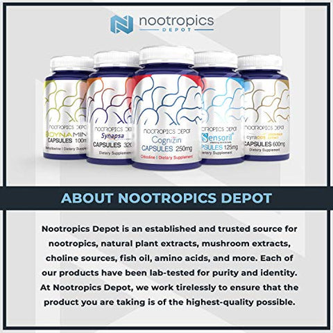 Nootropics Depot - Cápsulas de Acetil L-Carnitina | 500mg | 90 Unidades | Forma HCL | Suplemento Energético | Suporta a Função Mitocondrial | ALCAR HCL