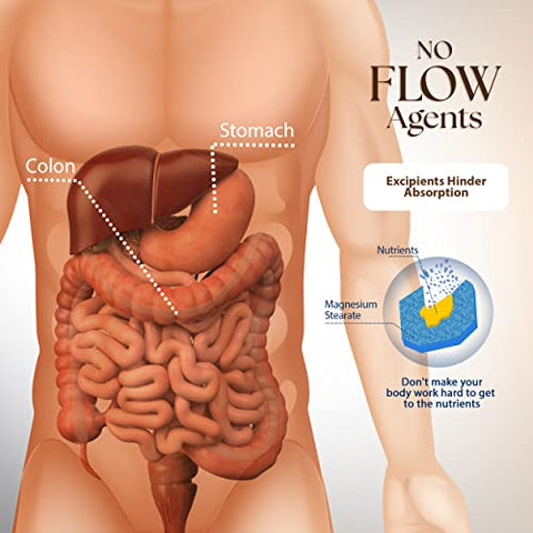 Dr Clark - Dr. Clark Digestive Aid – Limpeza do Cólon com Suplemento Digestivo – Equilibra Organismos Intestinais e Promove Absorção de Nutrientes – Limpeza de 17 Dias