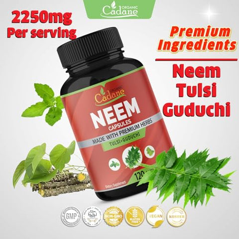 Organic Cadane - Suplemento de Folha de Neem Orgânico Cadane 2250 mg com Manjericão Sagrado Tulsi, Guduchi, 120 Cápsulas Vegetais | Suporta o Sistema Imunológico | Pó Puro Fresco de Folhas de Ervas