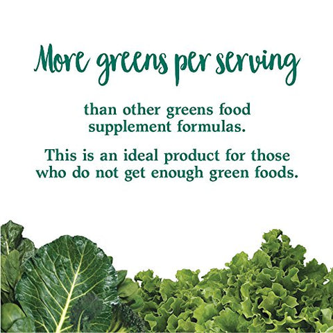 Garden of Life - Garden Of Life – Superalimento em Pó de Vegetais Integrais Perfect Food Green, 600g