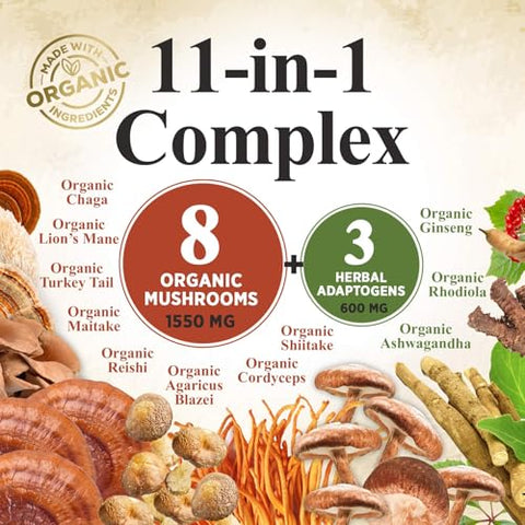 Nature's Nutrition - Pó de Cogumelo Orgânico – Complexo em Pó 11 em 1 de Leão Mane, Cordyceps, Reishi, Chaga, Shiitake, Turkey Tail, Maitake