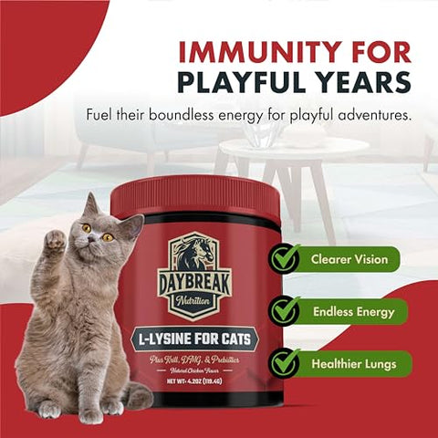 Daybreak Nutrition - L-Lisina para Gatos e Gatinhos – 900 mg Pó de L Lisina para Gatos para Imunidade | Marca: [Nome da Marca]