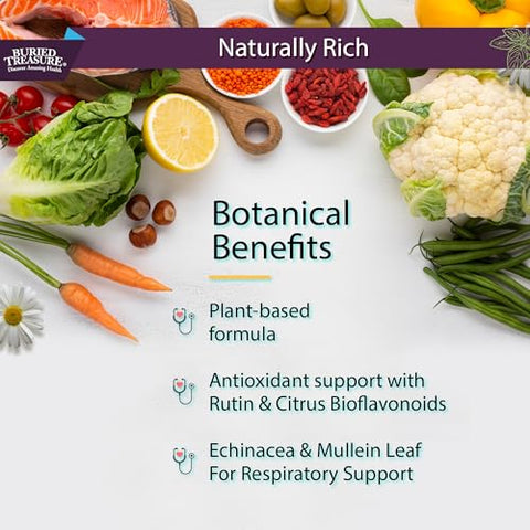 ACF Suporte Imunológico – 473 ml, 16 Porções, Vitamina C, Sabugueiro, Zinco, Reforço Imunológico Líquido com Vitaminas e Minerais c/ Copo Dosador - Buried Treasure