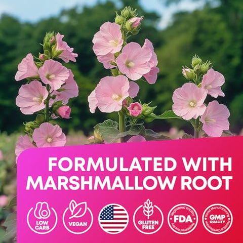 JOYLI Nutrition - (2 Pacotes) Gomas Avançadas de Keto ACV – Gomas de Vinagre de Maçã Keto Sem Açúcar – Suplementos Keto Raiz de Marshmallow – Alternativa às Cápsulas de Vinagre de Maçã – 120 ACV