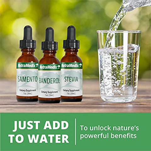 Burbur – Extrato de Desmodium Molliculum para Limpeza Diária – Suplemento para Foco – 30ml - NutraMedix
