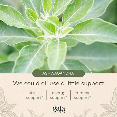 Gomas Orgânicas de Ashwagandha, Suporte ao Estresse, Canela, Gengibre, Sem Glúten, Vegano, 120 Unidades - Gaia Herbs
