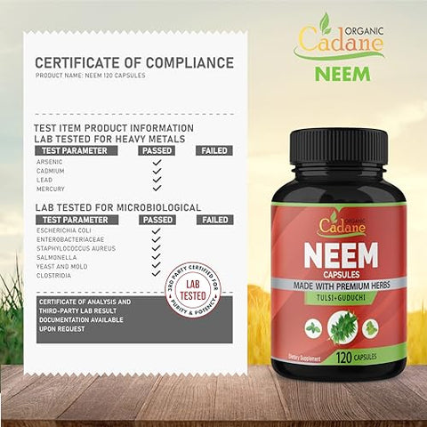 Organic Cadane - Suplemento de Folha de Neem Orgânico Cadane 2250 mg com Manjericão Sagrado Tulsi, Guduchi, 120 Cápsulas Vegetais | Suporta o Sistema Imunológico | Pó Puro Fresco de Folhas de Ervas