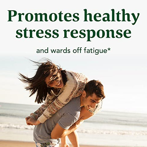 Adrenal Strength – Sensoril Ashwagandha, Vitamina C, Magnésio Glicinato Fermentado, Rhodiola Rosea, Cogumelo Reishi | 100% Natural e Potente - MegaFood