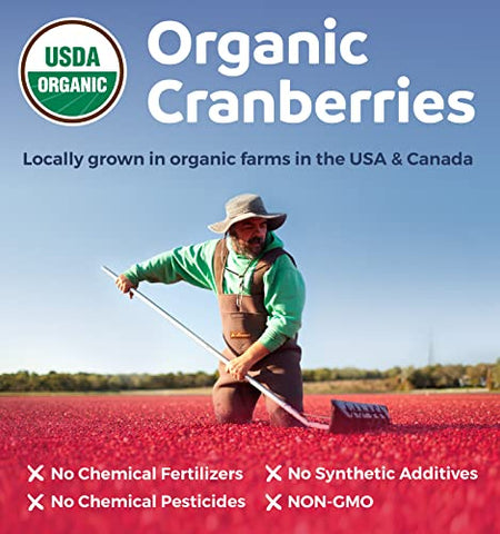 PURE CO - Pílulas Orgânicas de Cranberry – Concentrado 50:1 Equivale a 25.000mg de Cranberries Frescos (Vegano) para Saúde do Trato Urinário