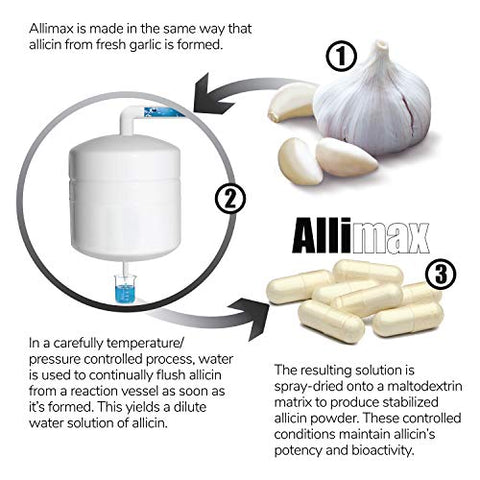 ALLIMAX - Allimax Pro 450mg 100 Vegicaps – Suplemento de Alho Allicin para Fortalecer a Imunidade do Corpo – Extrato Estabilizado de Allicin Extraído de Fontes Limpas