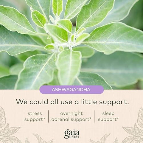 Adrenal Health Nightly Restore – Suplemento Herbal com Ashwagandha, Casca de Magnólia, Cordyceps, Melissa e Mais – 120 Cápsulas Líquidas Veganas de Fitoterapia (60 Porções) - Gaia Herbs
