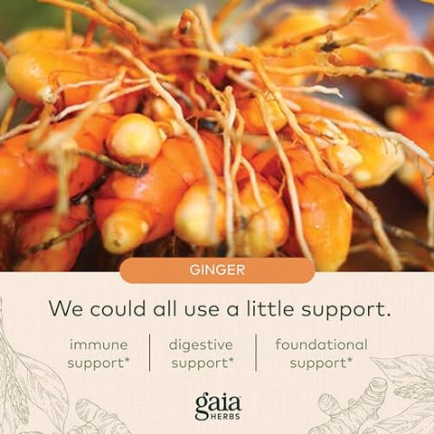 Ginger Supreme – Suporte à Digestão Saudável e Alívio de Náuseas Ocasionais – com Raiz de Gengibre Orgânico e Raiz de Cúrcuma – 60 Cápsulas Líquidas Veganas Fitofarmacêuticas (Fornecimento de 60 Dias) - Gaia Herbs