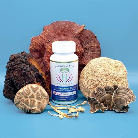 ENCAPSULATE - Blend de 6 Cogumelos – Reishi, Chaga, Turkey Tail, Cordyceps, Lion’s Mane | Encapsulate