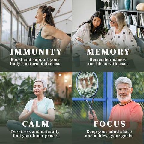 Holist - Blend de Cogumelos Premium Synaptic – Suporte Imunológico e Longevidade