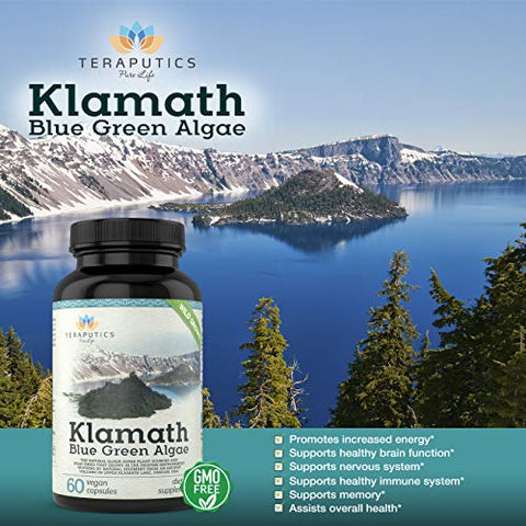 Teraputics - Premium Alga Azul do Lago Klamath – Mais Poderosa que Suplementos de Spirulina e Chlorella | SuperAlimento Puro Rico em Clorofila, Fonte Orgânica do Lago Klamath, 500mg, 60 cápsulas