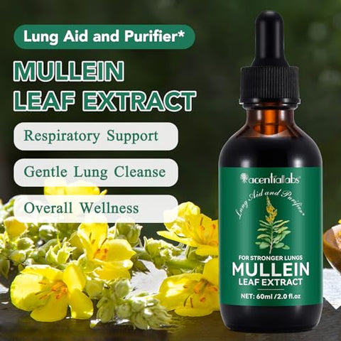 QJCWXIAOX - Gotas de Mullein para os Pulmões – Extrato de Folha de Mullein com Clorofila, Limpeza Pulmonar e Suporte Respiratório – 2 Frascos