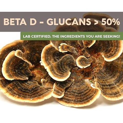 Pó de Cogumelo do Corpo de Frutificação 100g – Promove um Sistema Imunológico e Digestivo Equilibrado - Longevity Botanicals