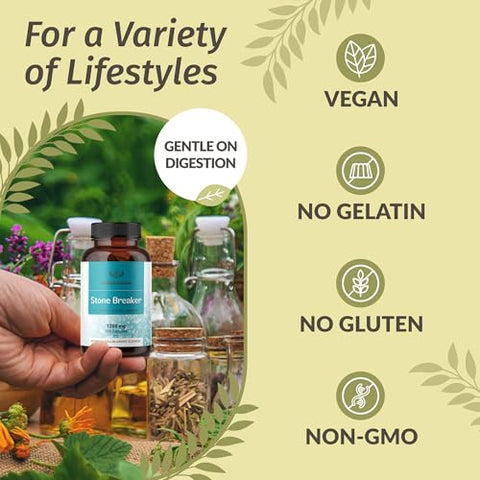 Cápsulas Quebra Pedra Chanca Piedra – 1200 mg Dissolvente de Pedras nos Rins – Limpeza da Vesícula Biliar e Suporte Renal – Vegano, Não-OGM – 100 Cápsulas - HERBAMAMA