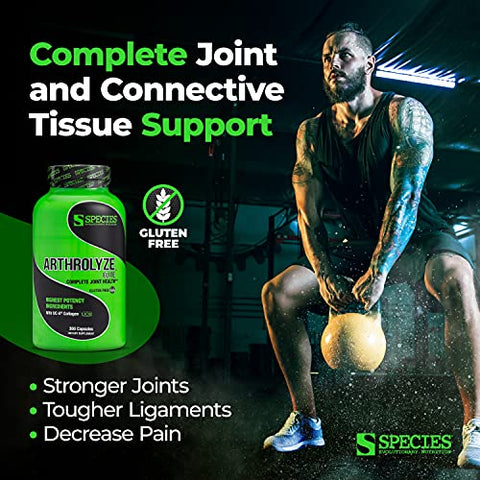 Arthrolyze – Suplemento para Reparo de Articulações, Fortificado com Colágeno UC-II, MSM, Glucosamina, Condroitina, Alta Potência para Tecido Conjuntivo - Species Nutrition