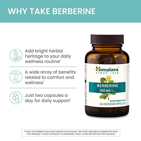 Berberine para Metabolismo: Aumente sua Energia e Queime Gordura Naturalmente - Himalaya