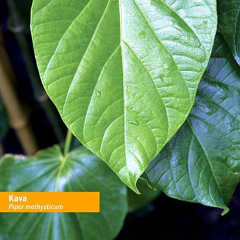 Extrato Líquido de Raiz de Kava Orgânica para Alívio do Estresse – 30ml - Herb Pharm