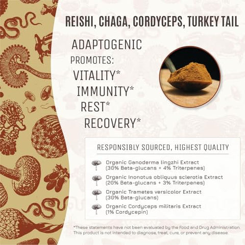 Hamilton's - Hamilton’s Body Blend | Pó de Extrato de Cogumelo Orgânico | Chaga, Cordyceps, Reishi, Turkey Tail | Suporte Imunológico, Resistência e Redução do Estresse | Alta Potência | 30% Beta Glucanos | GF | 100g