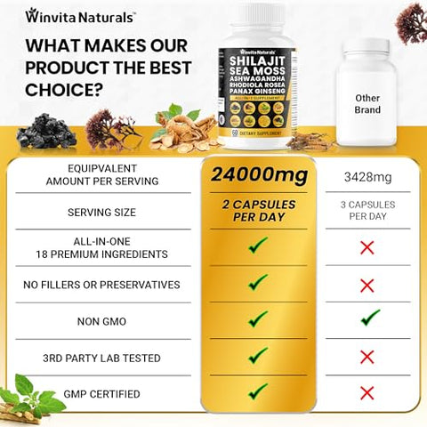 Winvita Naturals - Shilajit Puro Himalaia Orgânico 10.000mg Sea Moss 6000mg Ashwagandha 3000mg Panax Ginseng 3000mg Cordyceps Rhodiola Rosea 1000mg Zinco, Ácido Fúlvico
