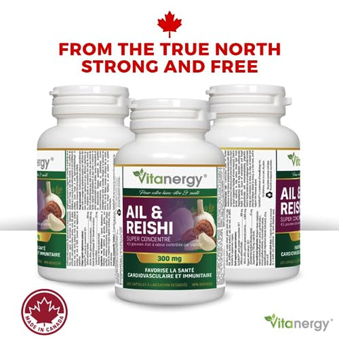 Vitanergy - Alho Orgânico em Pó 100g – Potencialize suas receitas com o sabor único do alho