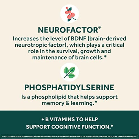 Plus: Suplemento Cérebro para Memória e Concentração com Nootrópicos Testados Clinicamente para Clareza Mental e Aprimoramento Cognitivo – Vitaminas B6, B12, Fosfatidilserina - NEURIVA