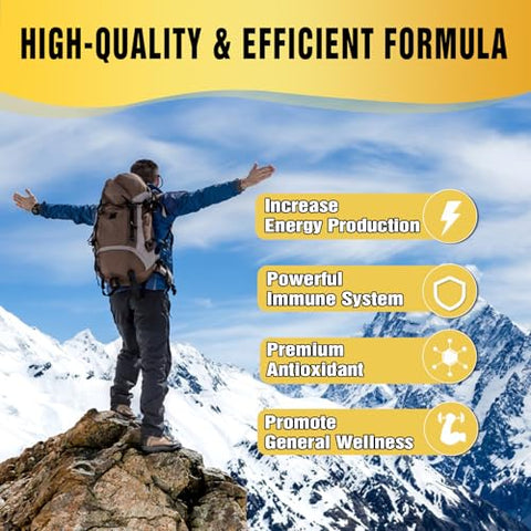 Sijigood - 2 Pacotes de Gomas de Shilajit Suplemento 1000 MG com 85 Minerais Traços, Shilajit para Homens