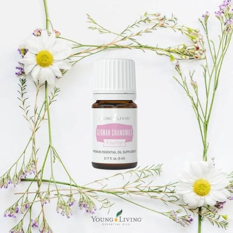 Óleo Essencial de Camomila Alemã Vitality 5 ml | Antioxidante - Young Living