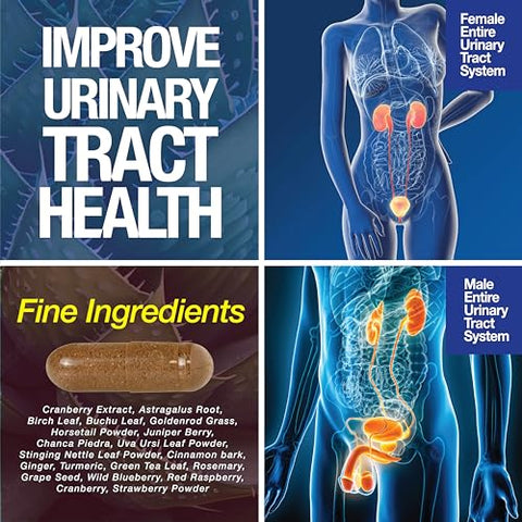 Saint Mingiano - Limpeza e Desintoxicação de Suporte Renal – Detox. Marca: Kidney Support