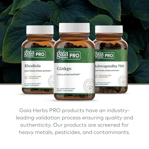 Pro Ginkgo – Circulação Sanguínea – 60 cápsulas – 500mg – Fórmula Natural - Gaia Herbs