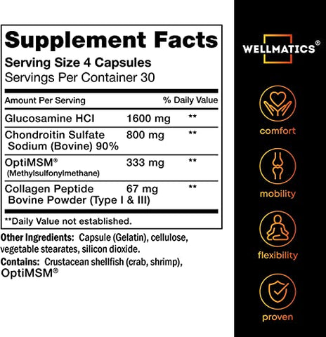 Wellmatics - Cápsulas de Glucosamina Condroitina MSM – Suplemento para Suporte Articular – Fabricado nos EUA – HSA