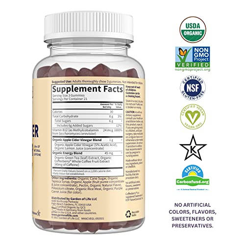 mykind Organics Gomas Energéticas de Vinagre de Maçã – ACV Orgânico da USDA com Vitaminas B12, Coffeeberry e Chá Verde – 63 Gomas Veganas para Energia - Garden of Life