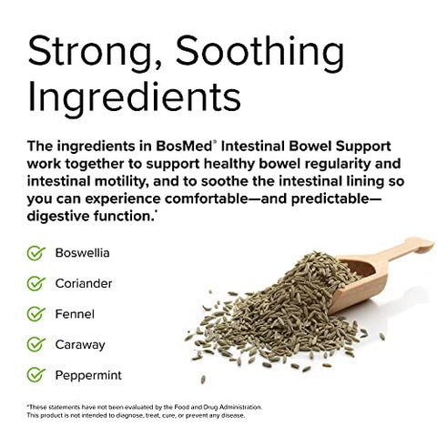 BosMed Suporte Intestinal – Digestivo | 60 Cápsulas | Fórmula Potente | Saúde Digestiva - Terry Naturally