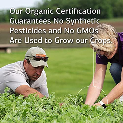 Standard Process Inc. - Standard Process – Enzycore – 150 Cápsulas | Fórmula Digestiva Avançada | Saúde Digestiva | 150 Cápsulas | Marca Standard Process