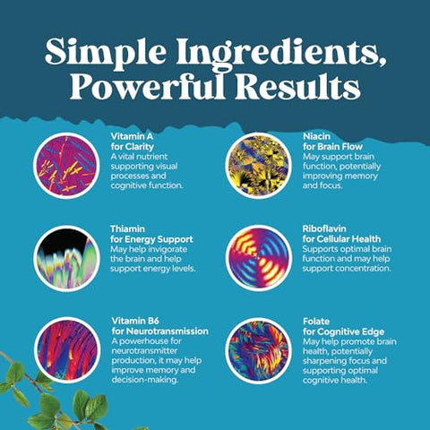 Natures Craft - Suplemento Avançado de Suporte Cerebral com Nootrópicos – Energia Mental Sinérgica e Foco com Vitaminas para Melhora Cognitiva – Suplemento para Mente e Memória – Marca: Brain+