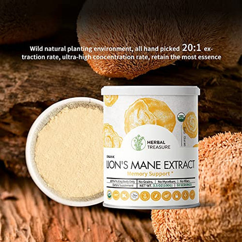 WL Herbal Treasure - Pó de Cogumelo do Leão Orgânico, Sem Transgênicos e Sem Glúten, Suporte à Memória, Concentração, Clareza, Criatividade e Humor – 50g