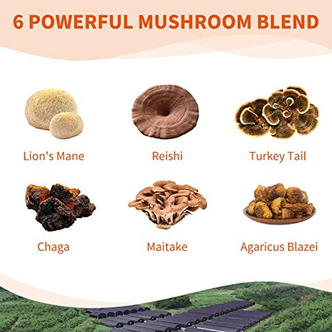 GANOHERB - Complexo de Cogumelos 6 em 1 – 800mg de Suplemento com Extrato Orgânico de Cogumelos Frutíferos – Leão da Montanha, Reishi, Cauda de Peru, Chaga, Maitake, Agaricus Blazei – 60 Cápsulas Vegetais