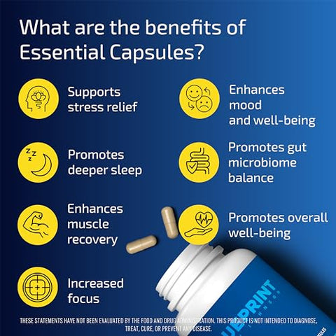 Cápsulas Essenciais – Multivitamínico/Multimineral Diário para Mulheres e Homens – Suplemento Antioxidante com Cálcio, Vitamina B1, Vitamina D e Zinco – Vegano e - Blueprint Bryan Johnson